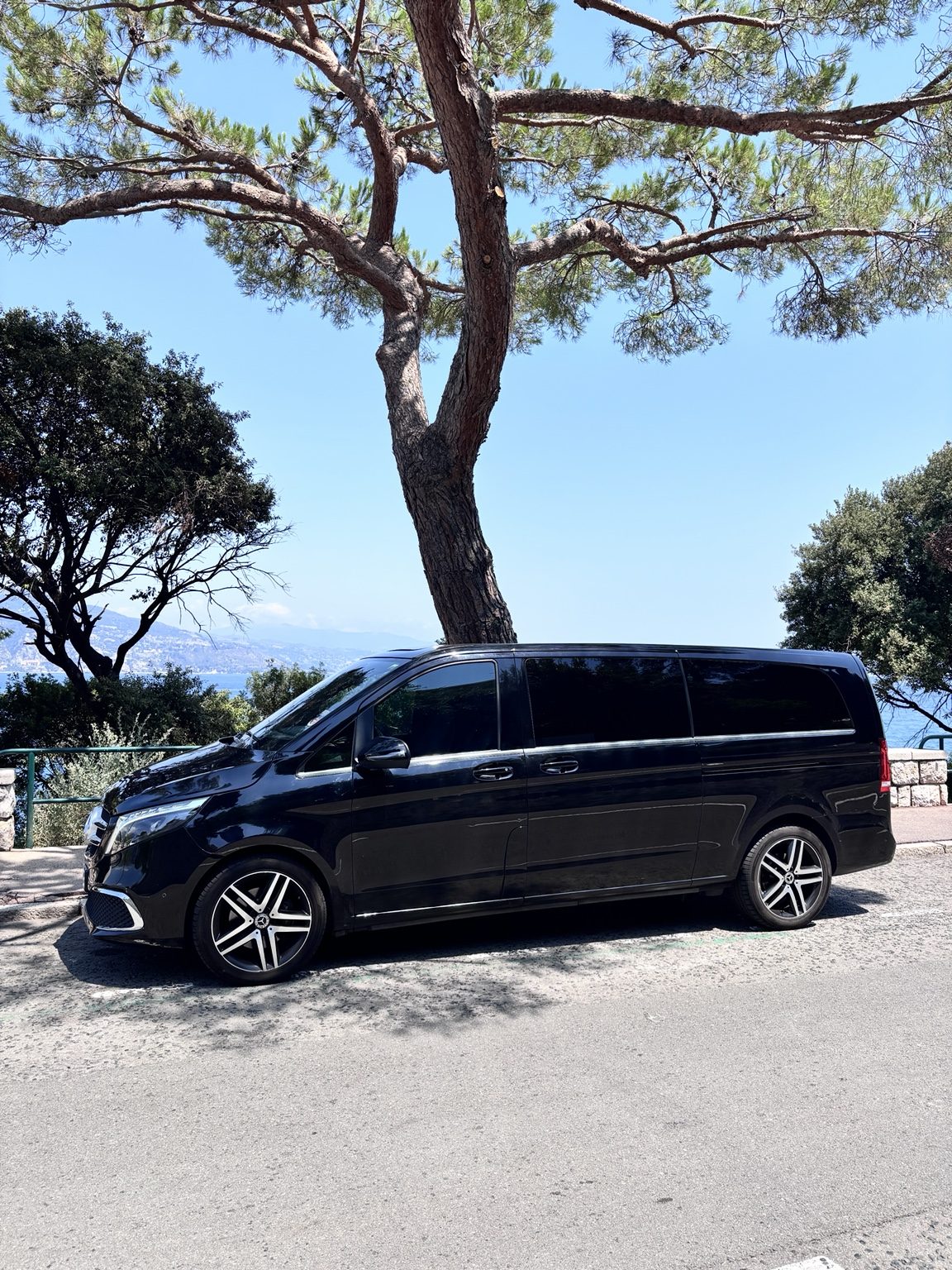 Mercedes Classe V AMB Élite sous un pin parasol face à la Méditerranée, Côte d'Azur